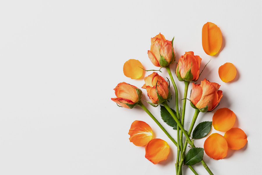 Benefits of K2 Vital Delta.