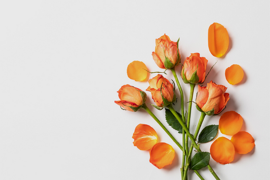 Benefits of K2 Vital Delta.