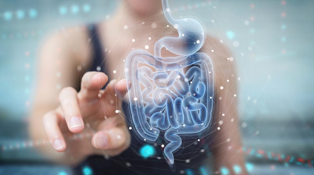 The multiple benefits of probiotics
