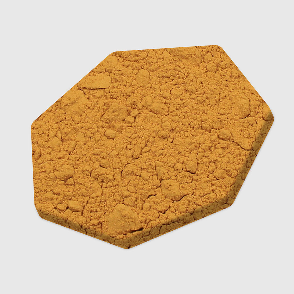 Cordyceps
