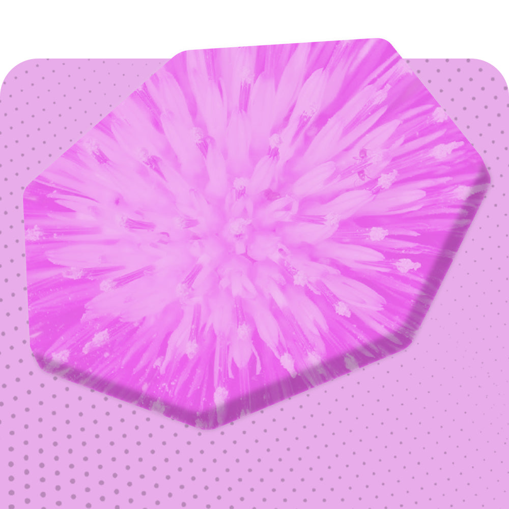 Milk Thistle Extract