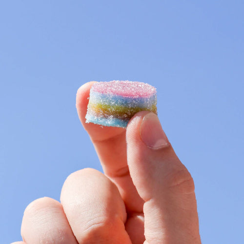 Monthly Subscription