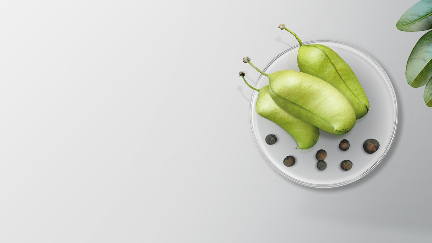 5-HTP