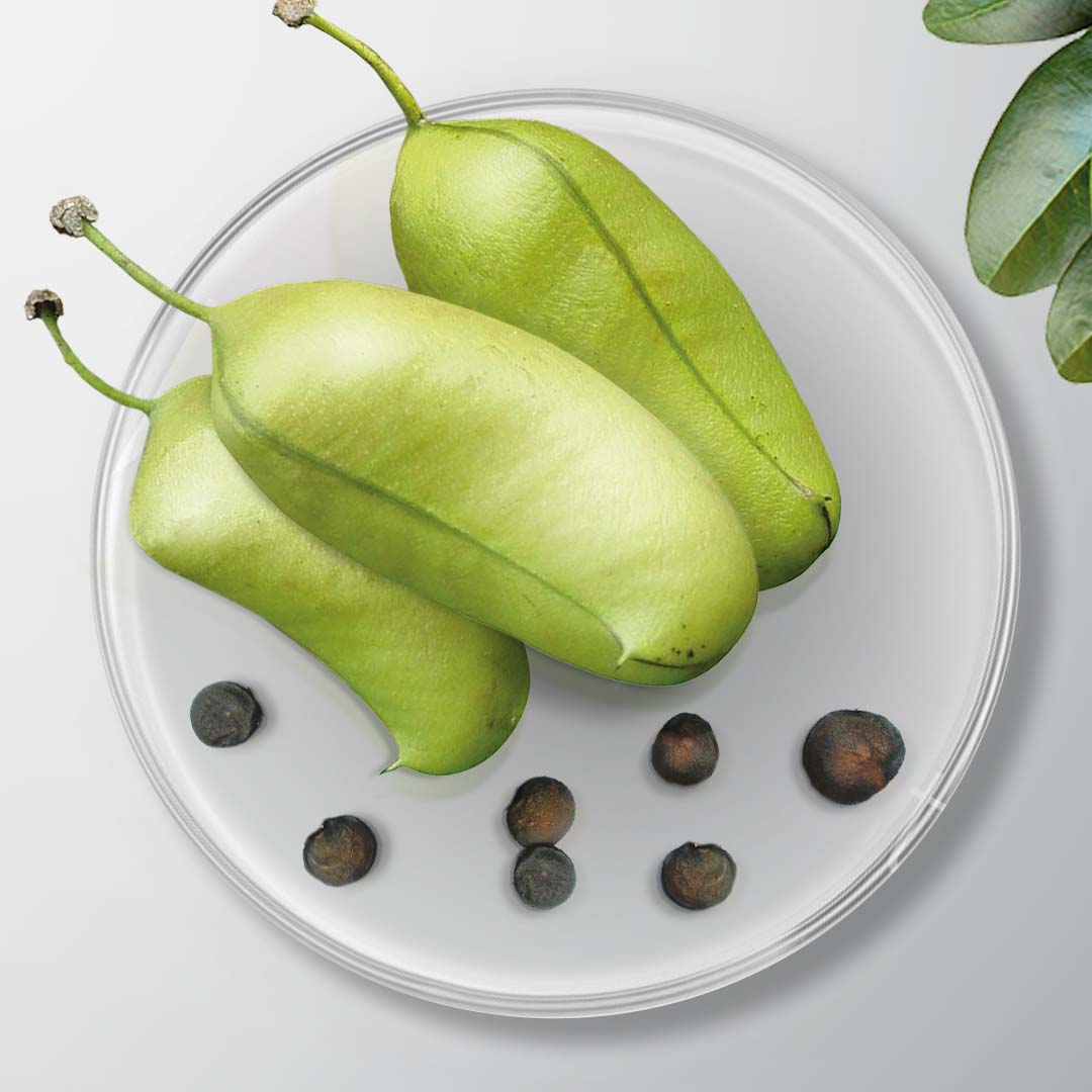 5-HTP