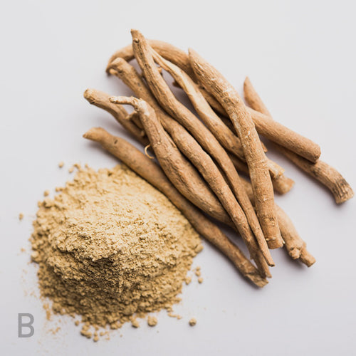 Ashwagandha Extract bundle