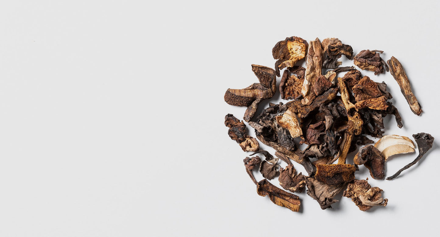 Cordyceps