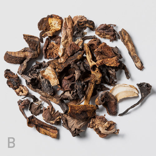 Cordyceps bundle