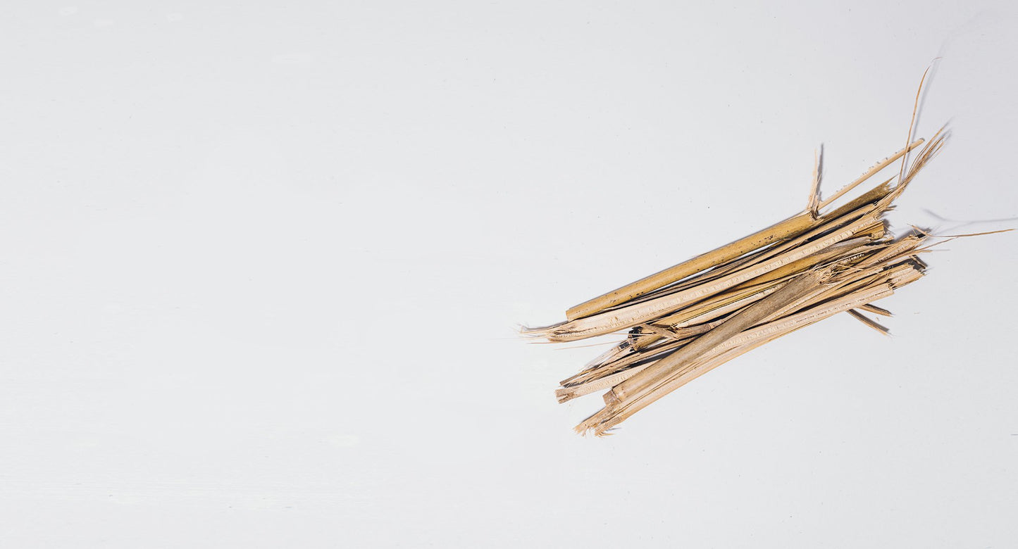 Eleuthero (Siberian Ginseng)
