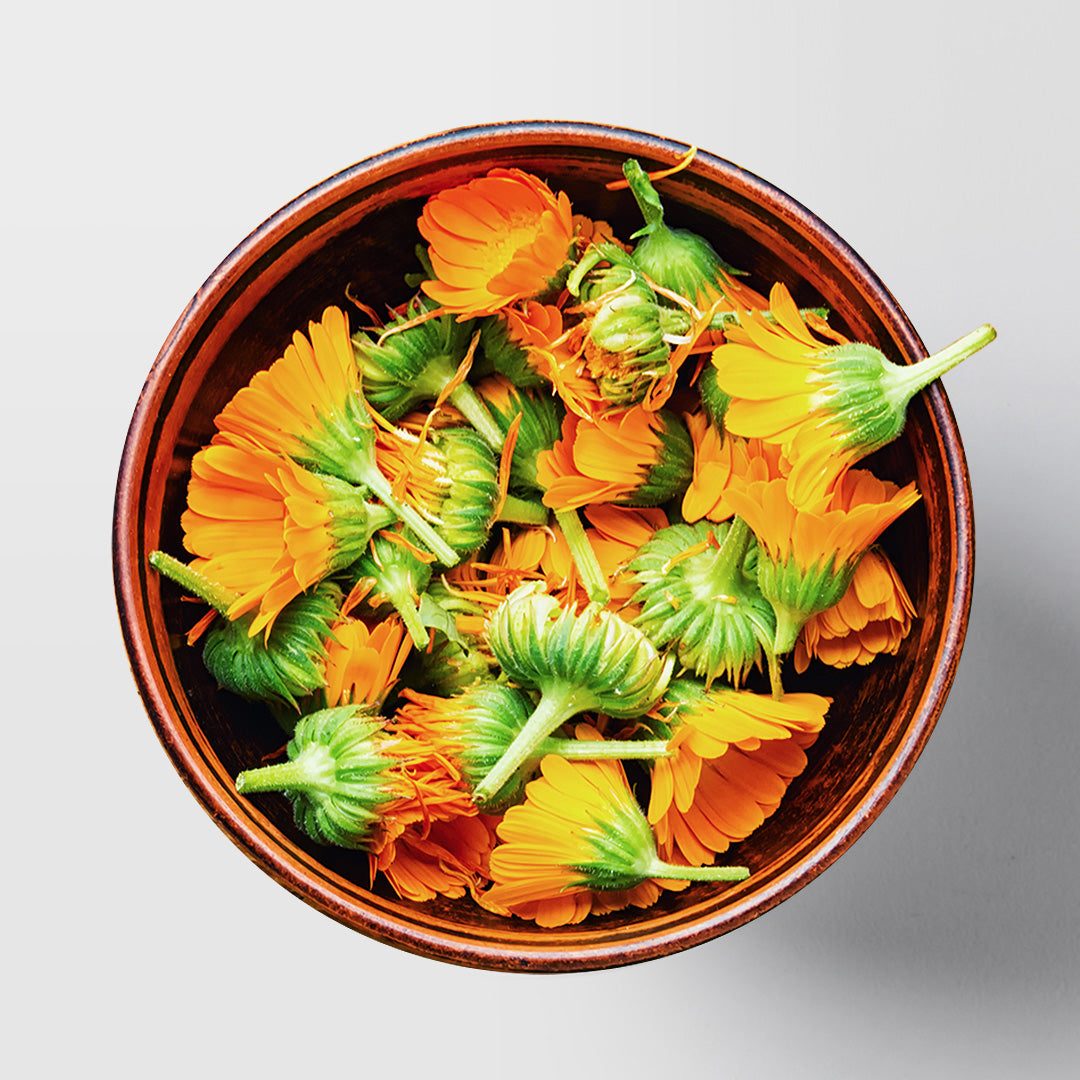 Tagetes erecta
