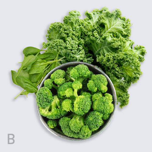 Nourished Greens™ bundle