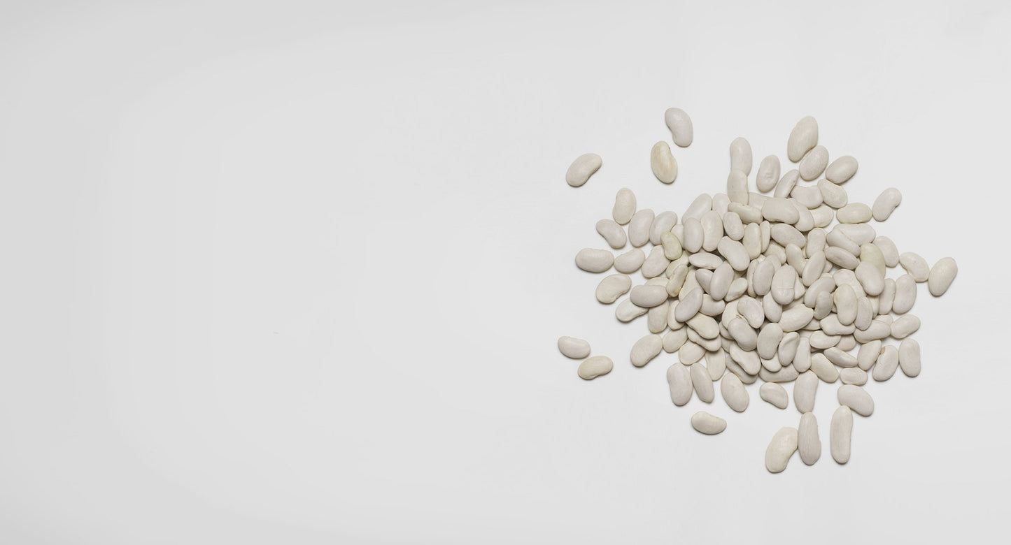 White Kidney Bean Extract