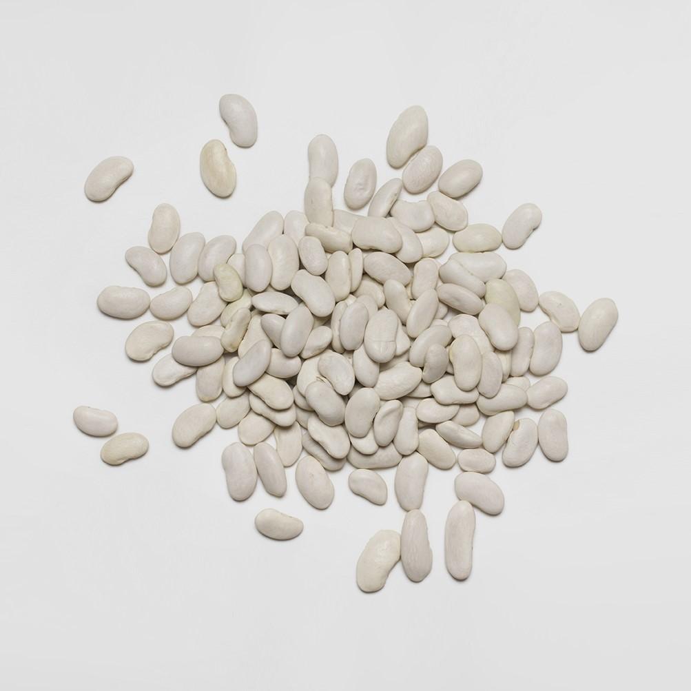 White Kidney Bean Extract