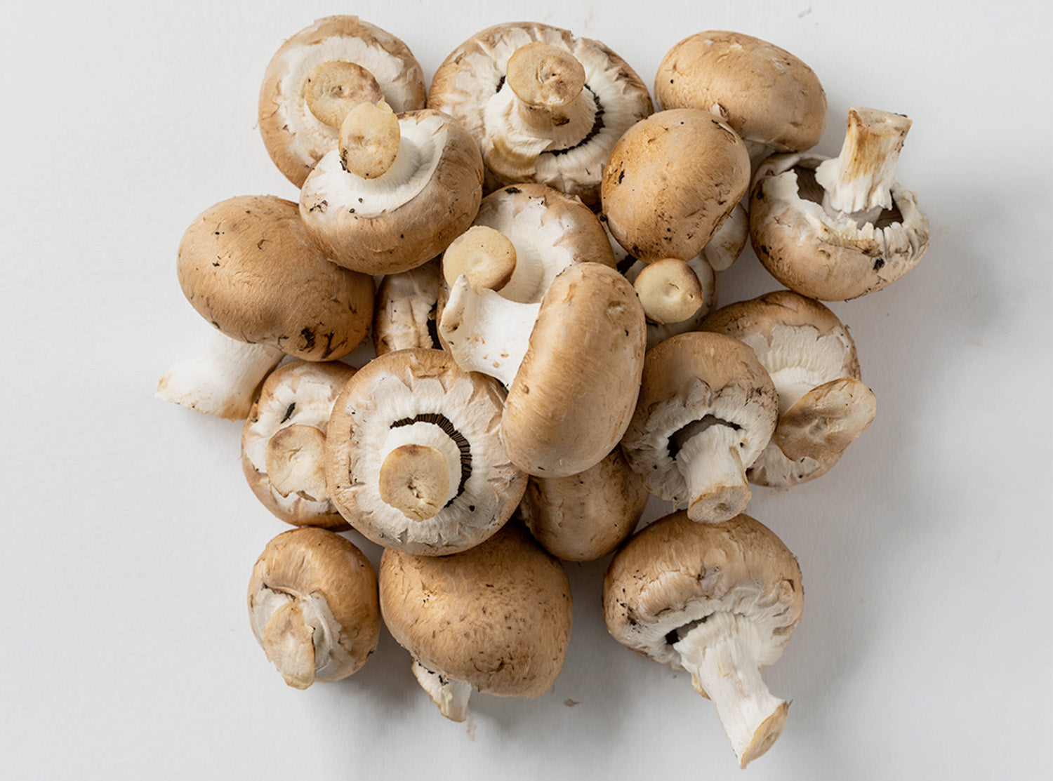 Vitamin B12, Nourished, Mushrooms