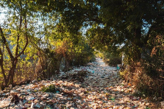 Building a plastic-free future.