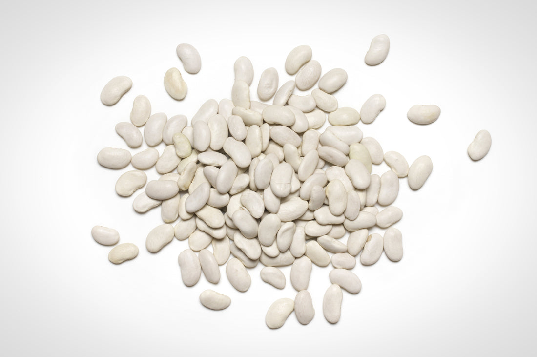 The Benefits of White Kidney Bean.