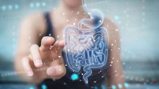 The multiple benefits of probiotics