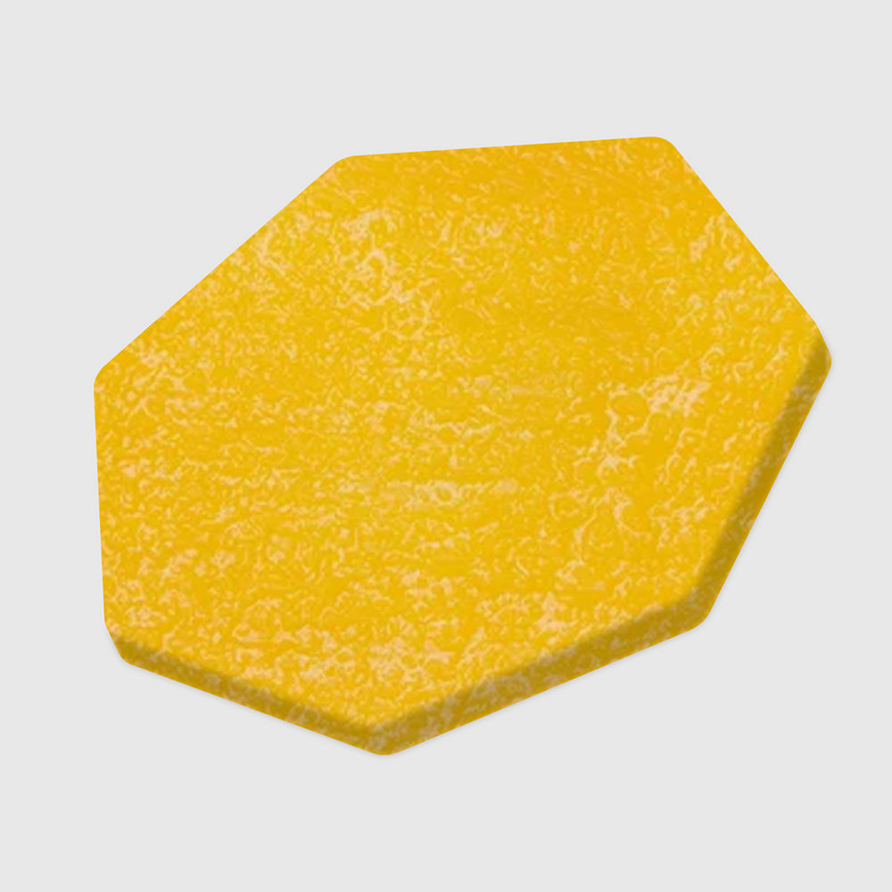 Mangifera indica L.