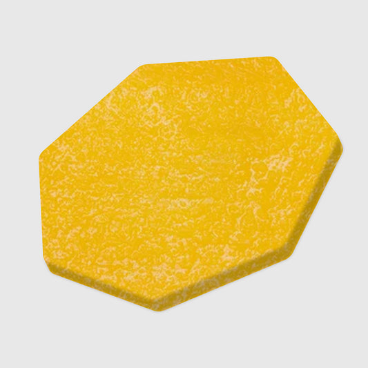 Mangifera indica L.