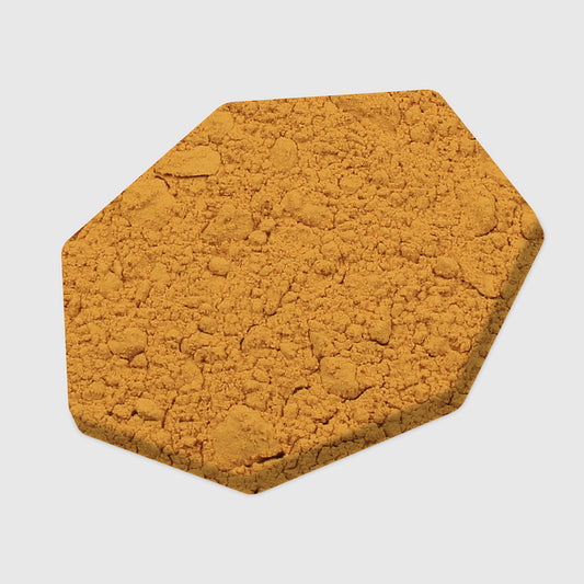Cordyceps