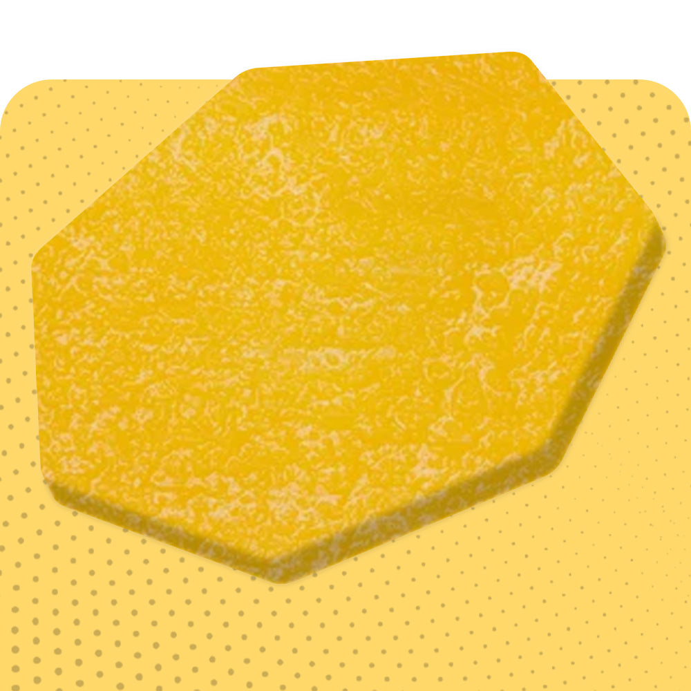 Mangifera indica L.