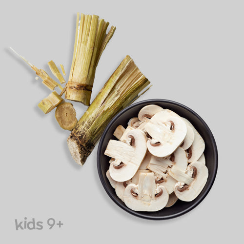 CoQ10 & Vitamin B12