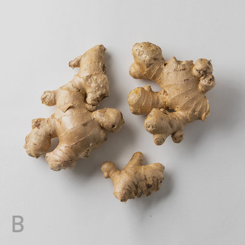 Ginger Extract bundle