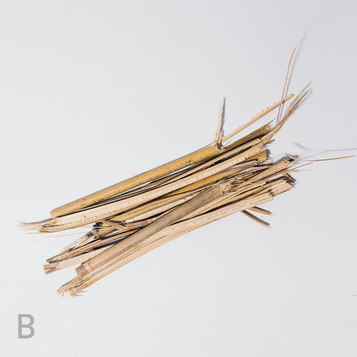 Eleuthero (Siberian Ginseng) bundle