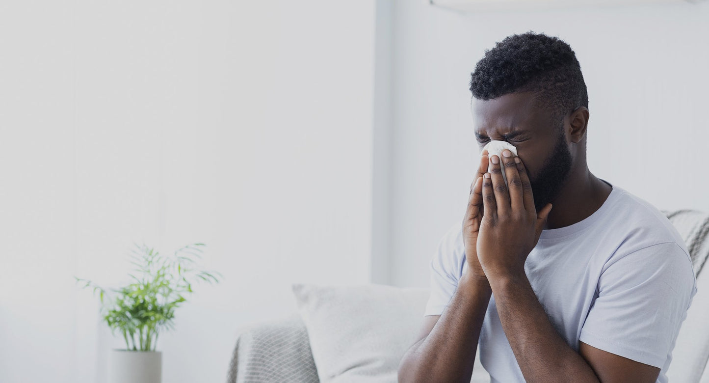 Pre-blend | Inner Defence Nutrients - 3 Month Bundle