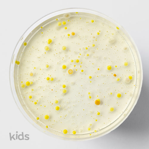 LactoSpore® Probiotic