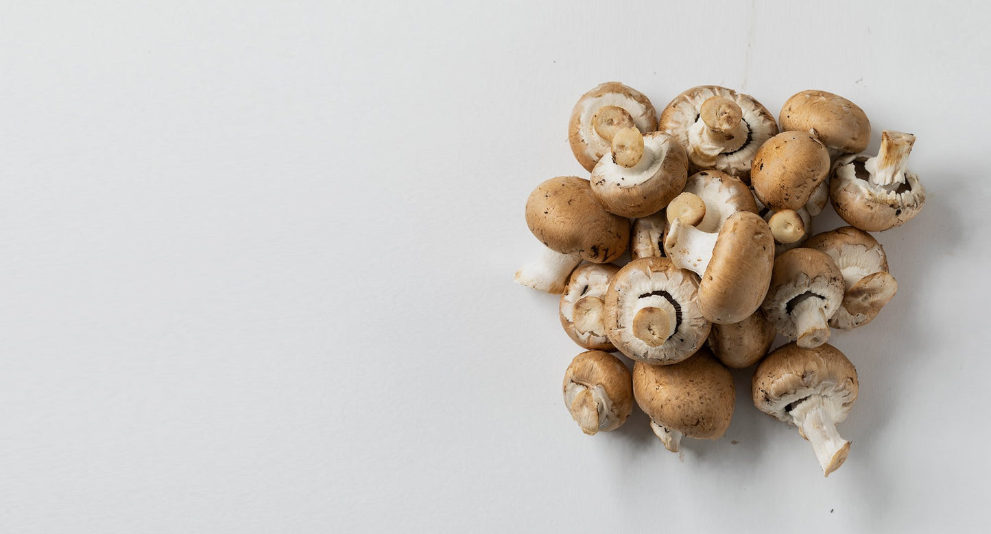 Vitamin B12 (Cyanocobalamin)